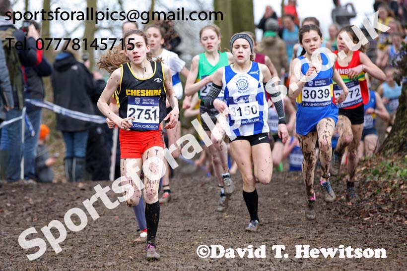 Girls under-13s 2018 British Inter Counties Cross Country Champs., Prestwold Hall, Loughborough. Photo: David T. Hewitson/Sports for All Pics